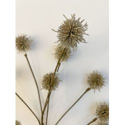 Dekorationsblomster gren med 9 champagne farvet blomster